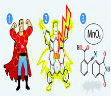 Graphical abstract: A manganese(ii) phthalocyanine under water-oxidation reaction: new findings