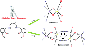 Graphical abstract: Methylene spacer regulated variation in molecular and crystalline architectures of cobalt(iii) complexes with reduced Schiff base ligands: a combined experimental and theoretical study