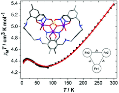 Graphical abstract: New salicylaldoximato-borate ligands resulting from anion hydrolysis and their respective copper and iron complexes