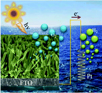 Graphical abstract: Fluorine and tin co-doping synergistically improves the photoelectrochemical water oxidation performance of TiO2 nanorod arrays by enhancing the ultraviolet light conversion efficiency