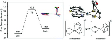 Graphical abstract: Hemilabile bonding of 1-oxa-4,7-dithiacyclononane in cyclometallated palladium(ii) complexes