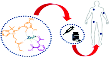 Graphical abstract: Spiropyrans for light-controlled drug delivery