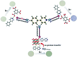 Graphical abstract: Reunderstanding the photoinduced charge transfer process of ammonium polyoxomolybdate