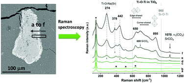 Graphical abstract: Alkali aluminosilicate geopolymers as binders to encapsulate strontium-selective titanate ion-exchangers