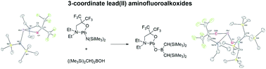 Graphical abstract: Aminofluoroalkoxide amido and boryloxo lead(ii) complexes