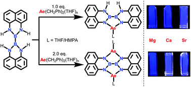 Graphical abstract: Alkaline-earth metallacyclic complexes bearing a diborane-bridged tetraamide ligand: synthesis, structure and fluorescence property