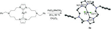 Graphical abstract: Synthesis and structural characterization of 20-membered macrocyclic rings bearing trans-chelating bis(N-heterocyclic carbene) ligands and the catalytic activity of their palladium(ii) complexes