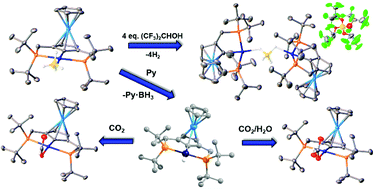 Graphical abstract: Synthesis, structural properties and reactivity of ruthenocene-based pincer Pd(ii) tetrahydroborate