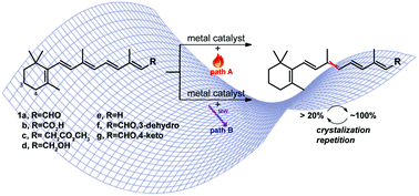 Graphical abstract: Catalytic synthesis of 9-cis-retinoids: mechanistic insights