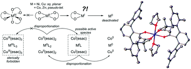 Graphical abstract: Sterically encumbered β-diketonates and base metal catalysis