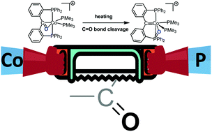Graphical abstract: Direct oxide transfer from an η2-keto ligand to generate a cobalt PCcarbeneP(O) pincer complex