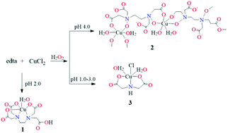 Graphical abstract: Formation of N-oxido copper ethylenediaminetetraacetate and propanediaminetetraacetate and their selective degradation to iminodiacetate and propanediaminediacetate