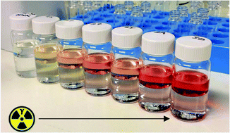 Graphical abstract: Effect of chemical environment on the radiation chemistry of N,N-di-(2-ethylhexyl)butyramide (DEHBA) and plutonium retention