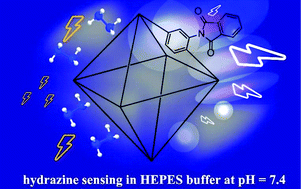 Graphical abstract: A phthalimide-functionalized UiO-66 metal–organic framework for the fluorogenic detection of hydrazine in live cells