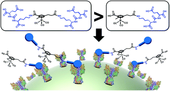 Graphical abstract: Two is better than one: difunctional high-affinity PSMA probes based on a [CpM(CO)3] (M = Re/99mTc) scaffold