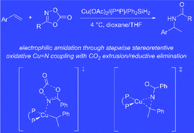 Graphical abstract: Copper hydride-mediated electrophilic amidation of vinylarenes with dioxazolones – a computational mechanistic study