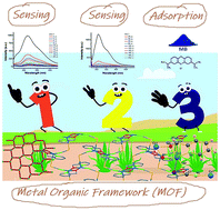 Graphical abstract: Three-in-one is really better: exploring the sensing and adsorption properties in a newly designed metal–organic system incorporating a copper(ii) ion