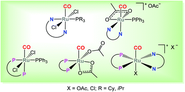 Graphical abstract: Preparation of monocarbonyl ruthenium complexes bearing bidentate nitrogen and phosphine ligands and their catalytic activity in carbonyl compound reduction