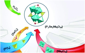 Graphical abstract: A novel peroxopolyoxoniobate incorporating mixed heteroatoms: [P2Se2Nb6(O2)6O22]8−