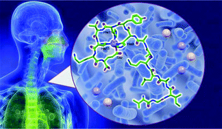 Graphical abstract: Bioinorganic chemistry of calcitermin – the picklock of its antimicrobial activity