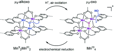 Graphical abstract: Tetra- and dinuclear manganese complexes of xanthene-bridged O,N,O-Schiff bases with 3-hydroxypropyl or 2-hydroxybenzyl groups: ligand substitution at a triply bridging site