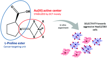 Graphical abstract: Au(iii)-Proline derivatives exhibiting selective antiproliferative activity against HepG2/SB3 apoptosis-resistant cancer cells