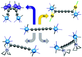 Graphical abstract: Metal coordination to a dimetallaoctatetrayne