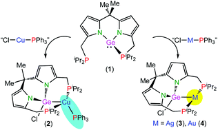 Graphical abstract: A dipyrromethane-based diphosphane–germylene as precursor to tetrahedral copper(i) and T-shaped silver(i) and gold(i) PGeP pincer complexes