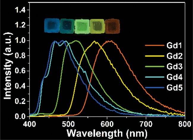 Graphical abstract: Highly efficient room-temperature phosphorescence achieved by gadolinium complexes