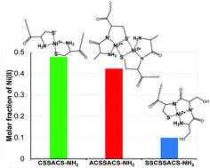 Graphical abstract: A comparative study on the nickel binding ability of peptides containing separate cysteinyl residues