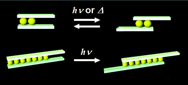 Graphical abstract: Photo-induced translocation of a Pdn moiety (n = 2, 7) on a conjugated polyene ligand