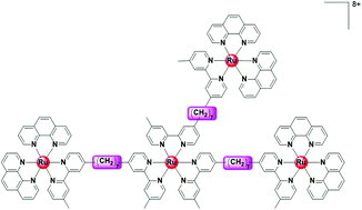 Graphical abstract: Synthesis and biological properties of tetranuclear ruthenium complexes containing the bis[4(4′-methyl-2,2′-bipyridyl)]-1,7-heptane ligand