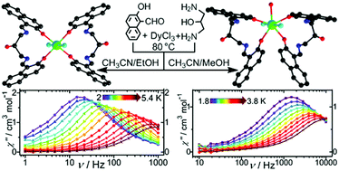 Graphical abstract: Two mononuclear dysprosium(iii) complexes with their slow magnetic relaxation behaviors tuned by coordination geometry