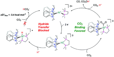 Graphical abstract: Thermodynamic targeting of electrocatalytic CO2 reduction: advantages, limitations, and insights for catalyst design