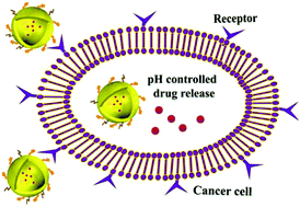 Graphical abstract: Hollow structural metal–organic frameworks exhibit high drug loading capacity, targeted delivery and magnetic resonance/optical multimodal imaging