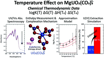 Graphical abstract: Complexation of UO2(CO3)34− with Mg2+ at varying temperatures and its effect on U(vi) speciation in groundwater and seawater