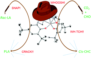 Graphical abstract: The synthesis, characterisation and application of iron(iii)–acetate complexes for cyclic carbonate formation and the polymerisation of lactide