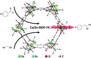Graphical abstract: Modulating the basicity of Zn-MOF-74 via cation exchange with calcium ions