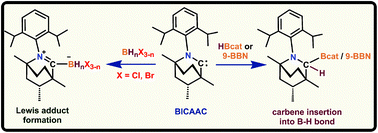 Graphical abstract: Reactions of a BICAAC with hydroboranes: propensity for Lewis adduct formation and carbene insertion into the B–H bond