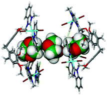 Graphical abstract: Cyclotriveratrylene-tethered trinuclear palladium(ii)–NHC complexes; reversal of site selectivity in Suzuki–Miyaura reactions