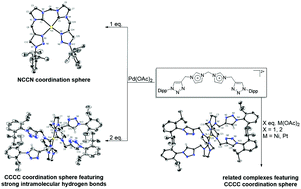 Graphical abstract: Exploring different coordination modes of the first tetradentate NHC/1,2,3-triazole hybrid ligand for group 10 complexes