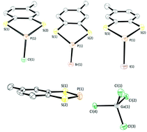 Graphical abstract: Structure–property-reactivity studies on dithiaphospholes