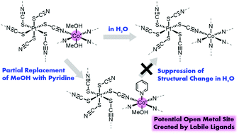 Graphical abstract: Creation and stabilisation of tuneable open metal sites in thiocyanato-bridged heterometallic coordination polymers to be used as heterogeneous catalysts