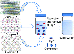 Graphical abstract: Thioether-based recyclable metal–organic frameworks for selective and efficient removal of Hg2+ from water