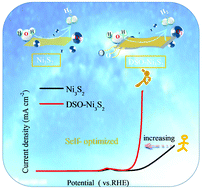 Graphical abstract: In situ fabrication of dynamic self-optimizing Ni3S2 nanosheets as an efficient catalyst for the oxygen evolution reaction