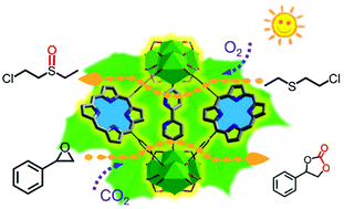 Graphical abstract: A mixed-ligand strategy regulates thorium-based MOFs