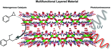 Graphical abstract: Multifunctionality and cytotoxicity of a layered coordination polymer