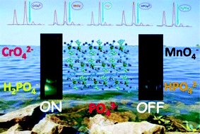 Graphical abstract: Luminescent metal–organic framework-based phosphor for the detection of toxic oxoanions in an aqueous medium