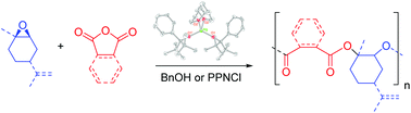 Graphical abstract: Synthesis of a mononuclear magnesium bis(alkoxide) complex and its reactivity in the ring-opening copolymerization of cyclic anhydrides with epoxides