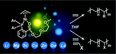 Graphical abstract: Accelerating ethylene polymerization using secondary metal ions in tetrahydrofuran